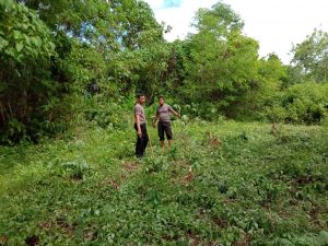 IMG-20200612-WA0081