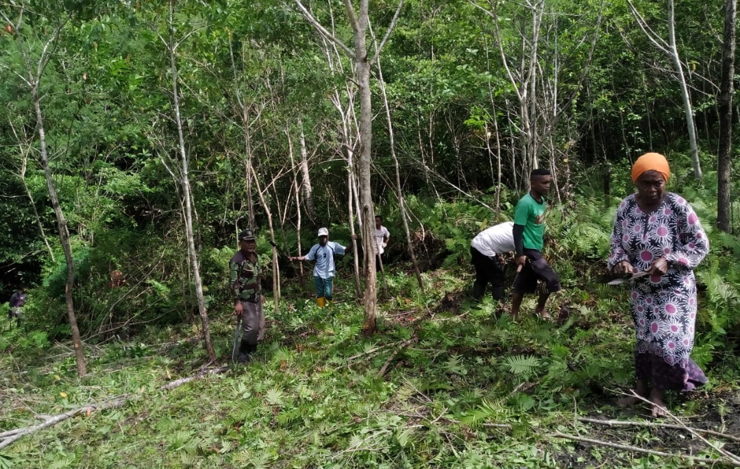 Screenshot_2020-09-24-10-00-51-380_com.whatsapp