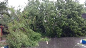 IMG-20220222-WA0009