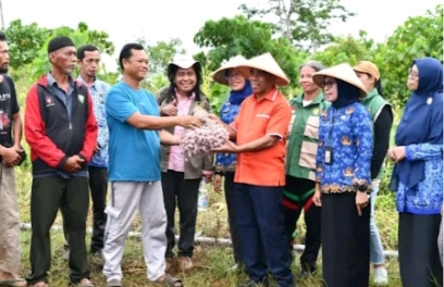 Screenshot_20251203_222201